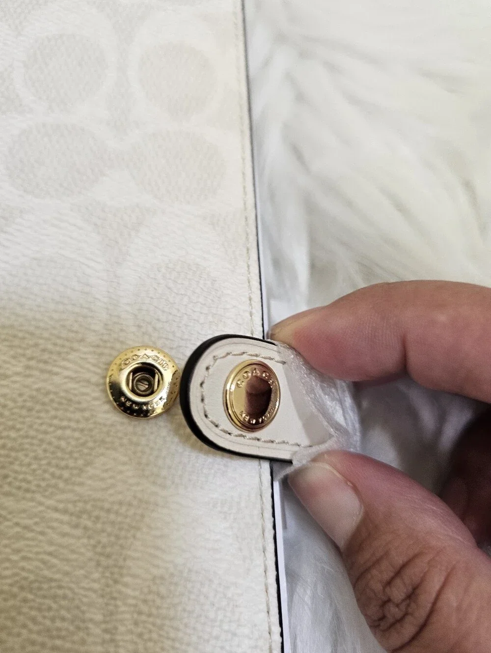 New Coach Notebook in Signature Canvas